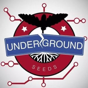 Underground Seeds Collective