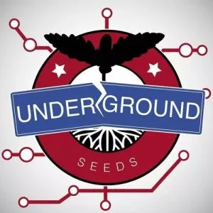 Underground Seeds Collective
