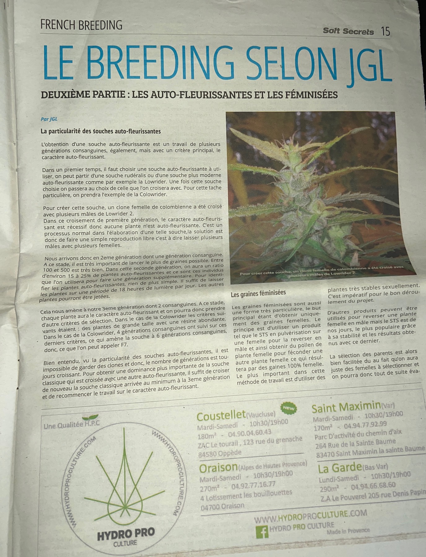 Article breeding cannabis 'Le breeding selon JGL' Partie 2 par JGL Underground Seeds, Soft Secrets janvier 2017 - Page 15