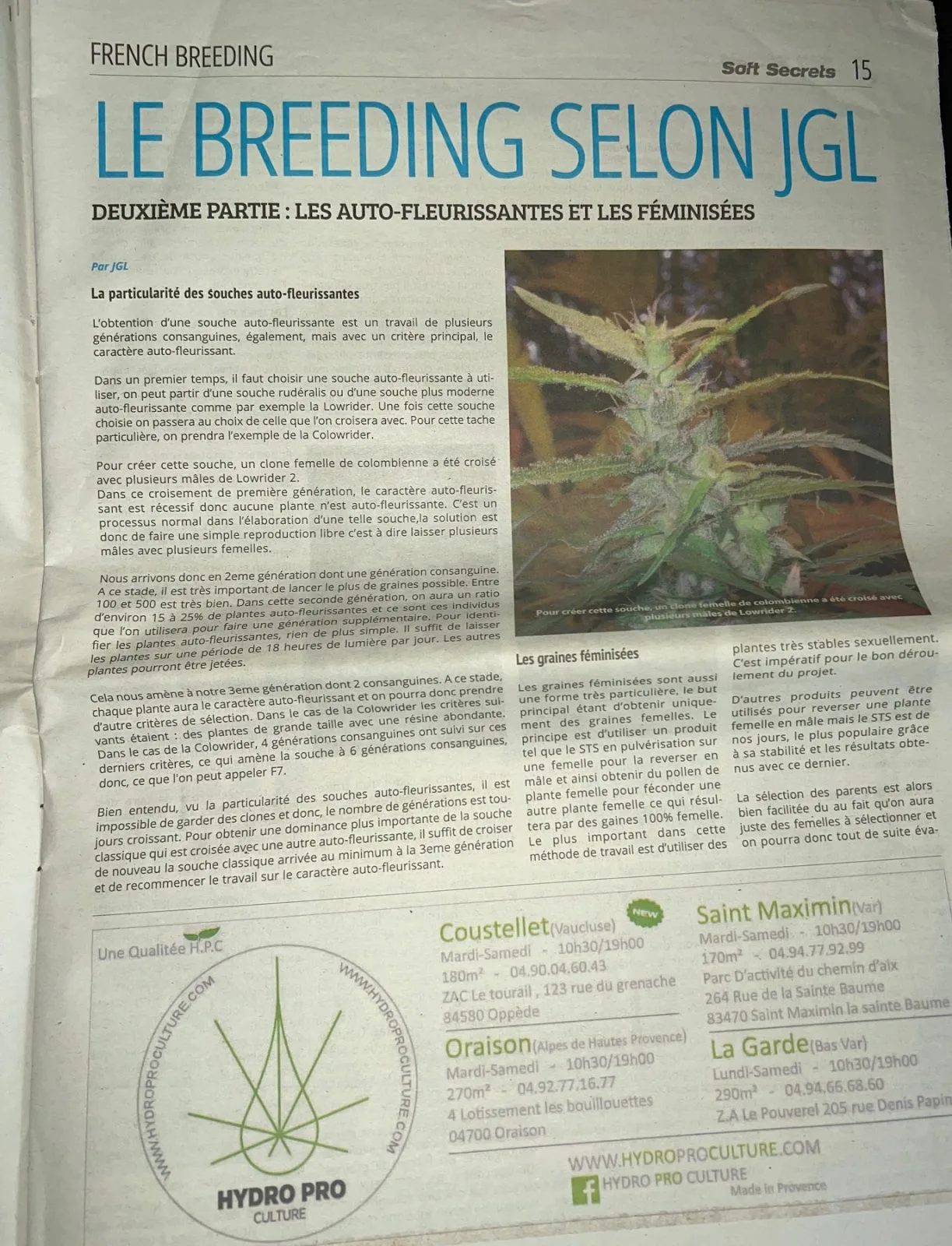Article breeding cannabis 'Le breeding selon JGL' Partie 2 par JGL Underground Seeds, Soft Secrets janvier 2017 - Page 15