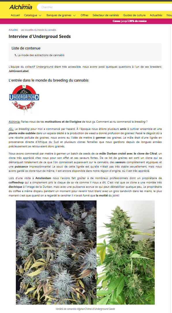 Interview JGL Underground Seeds Collective — Alchimia 2015, page 1 : AfghanChitral
