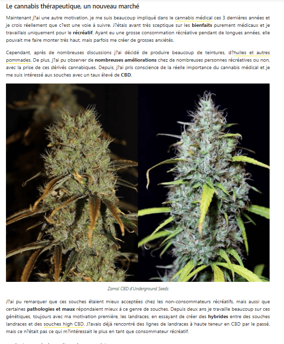 Interview JGL Underground Seeds Collective — Alchimia 2015, page 3 : Zamal CBD et cannabis thérapeutique