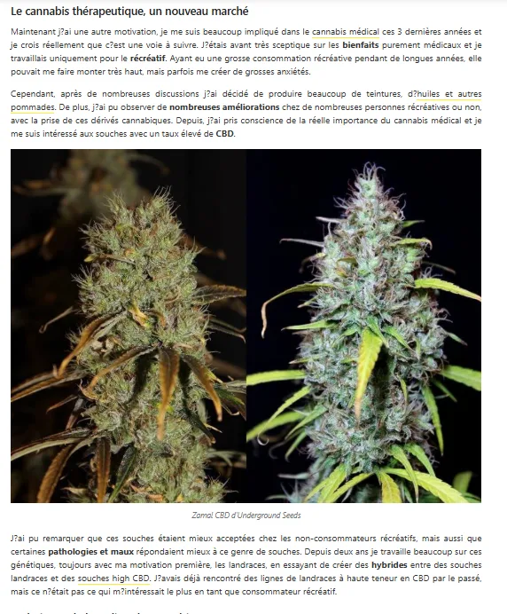 Interview JGL Underground Seeds Collective — Alchimia 2015, page 3 : Zamal CBD et cannabis thérapeutique