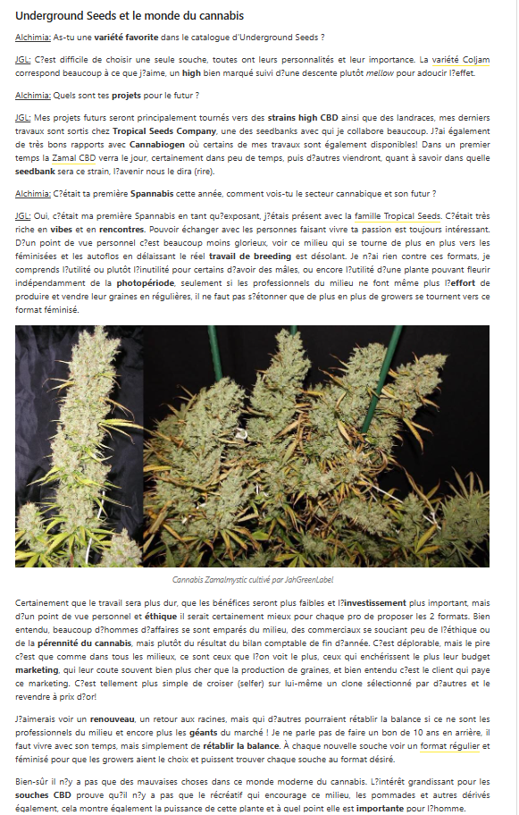 Interview JGL Underground Seeds Collective — Alchimia 2015, page 5 : Zamalmystik, vision du secteur cannabique