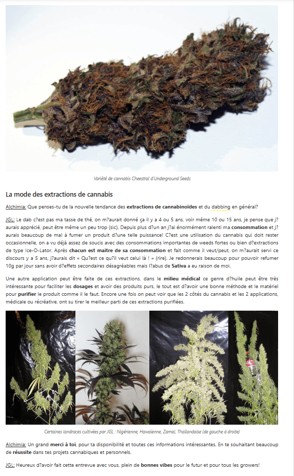 Interview JGL Underground Seeds Collective — Alchimia 2015, page 6 : Cheestral, extractions, landraces Nigérienne Hawaïenne Zamal Thaïlandaise