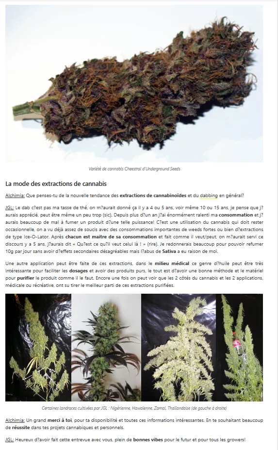 Interview JGL Underground Seeds Collective — Alchimia 2015, page 6 : Cheestral, extractions, landraces Nigérienne Hawaïenne Zamal Thaïlandaise